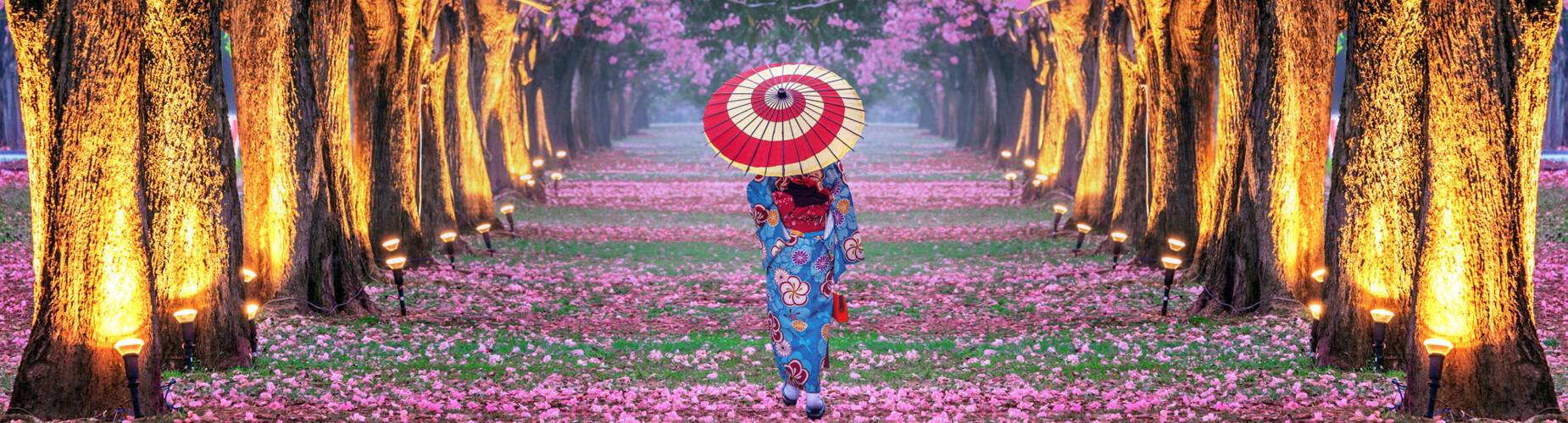 Japan in Springtime