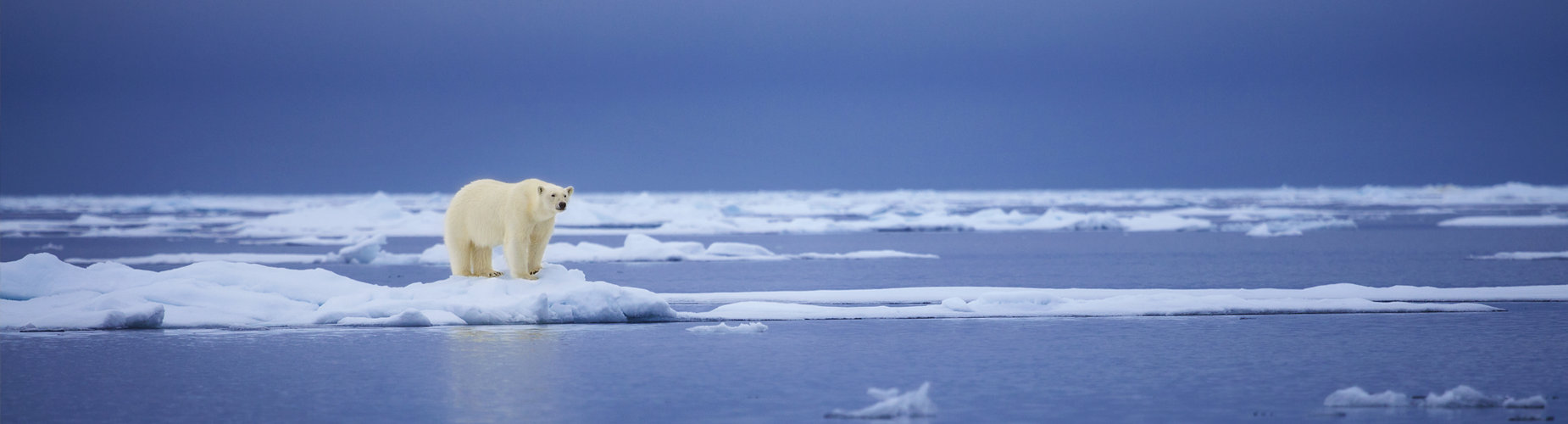 Svalbard