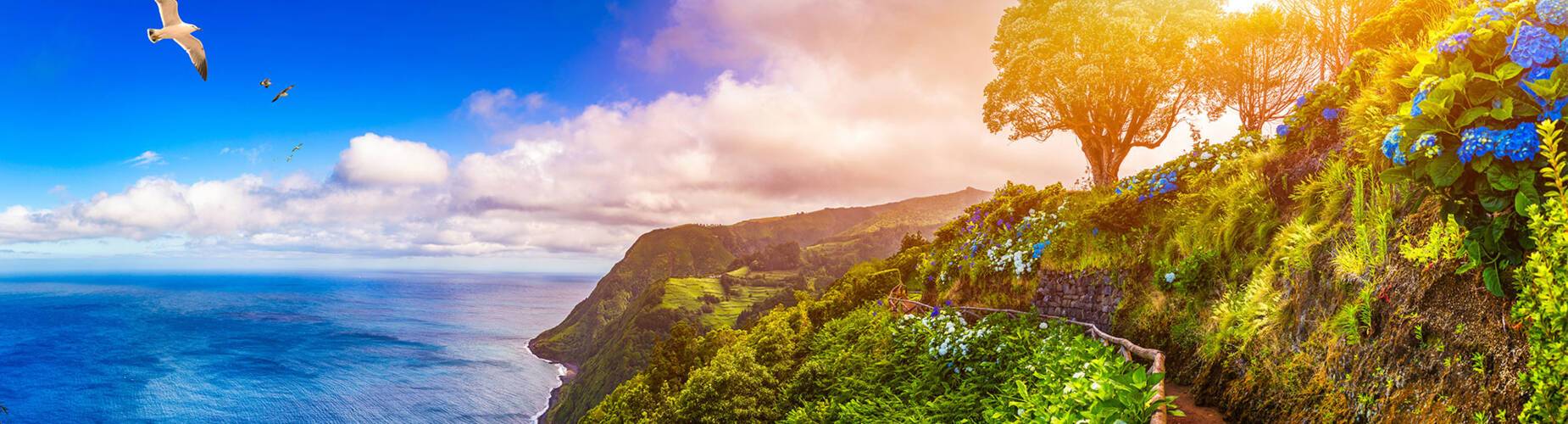 Azores Cruises