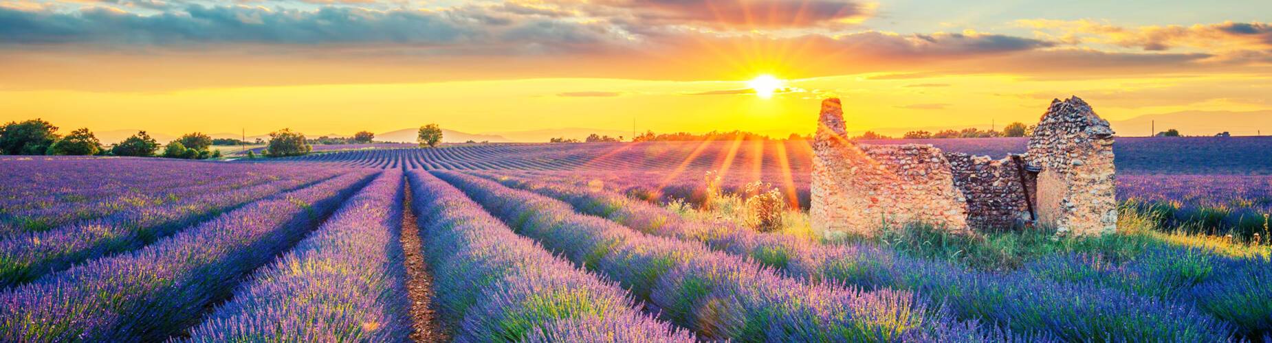 Provence