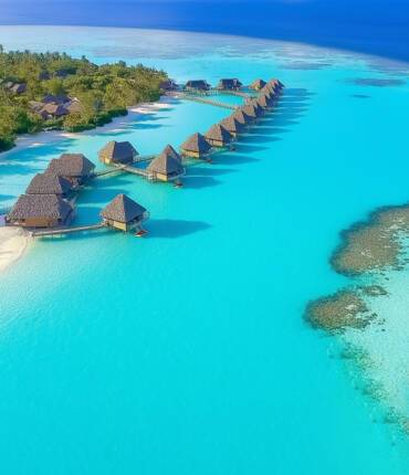ROL Cruise