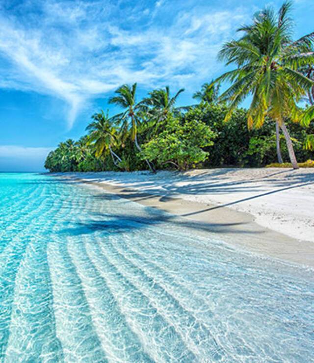 Honeymoon Cruises