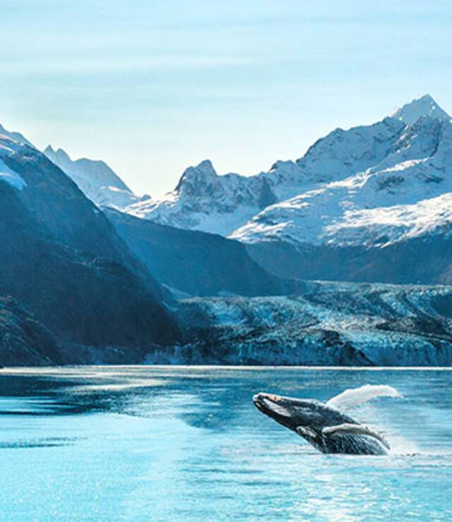 Activity Cruises