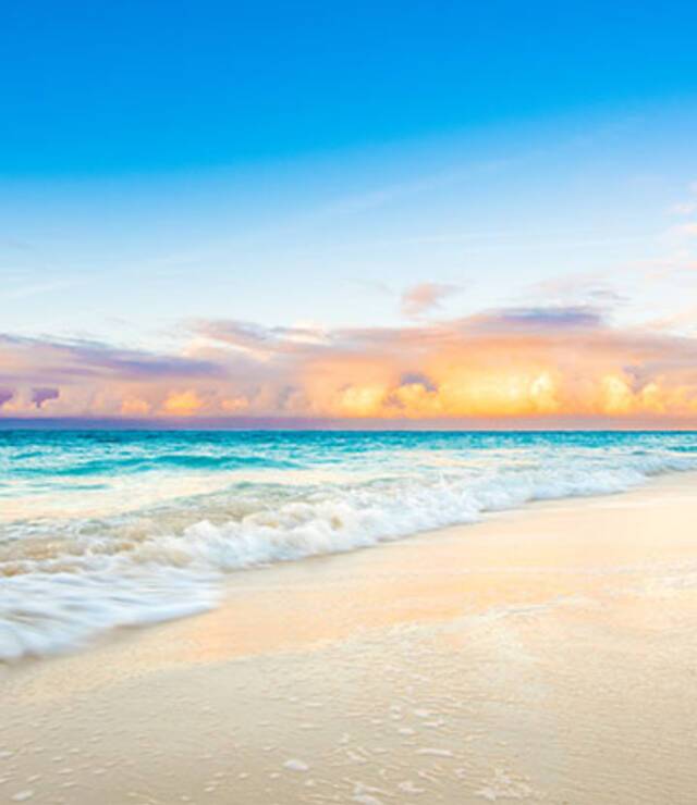 Beach Cruises