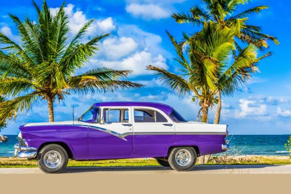 2024 Cruises 
