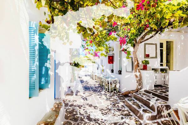 Greece Cuisine 