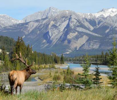 Alaska