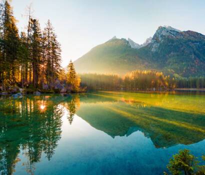 Bavarian Forest